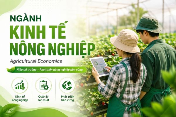 Tổng quan chương trình ngành