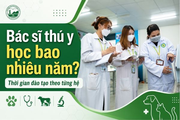Bác sĩ thú y học bao nhiêu năm? Thời gian đào tạo theo từng hệ