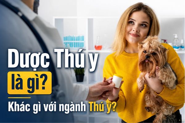 Dược Thú y là gì? Khác gì với ngành Thú y?