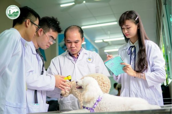 Tổng quan về ngành Thú y