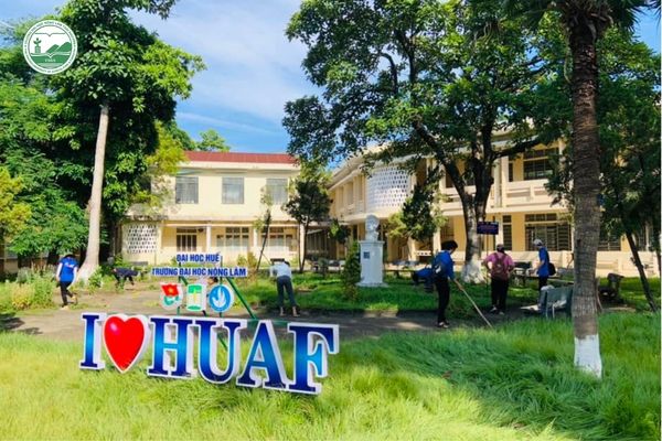 Trường Đại học có ngành Thú y: Đại học Huế (HUAF)
