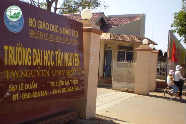 Trường Đại học có ngành Thú y: Đại học Tây Nguyên (TNU)
