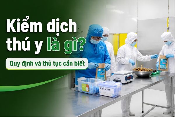 Kiểm dịch thú y là gì? Quy định và thủ tục cần biết